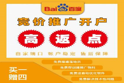 SEM托管服务案例：优化策略与效果展示